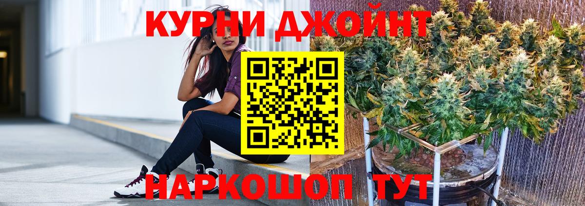 Бошки Шишки ГИДРОПОН Ставрополь